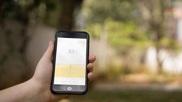 Hand-held health monitor